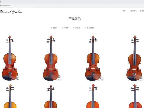 泰兴某小提琴厂网站建设服务